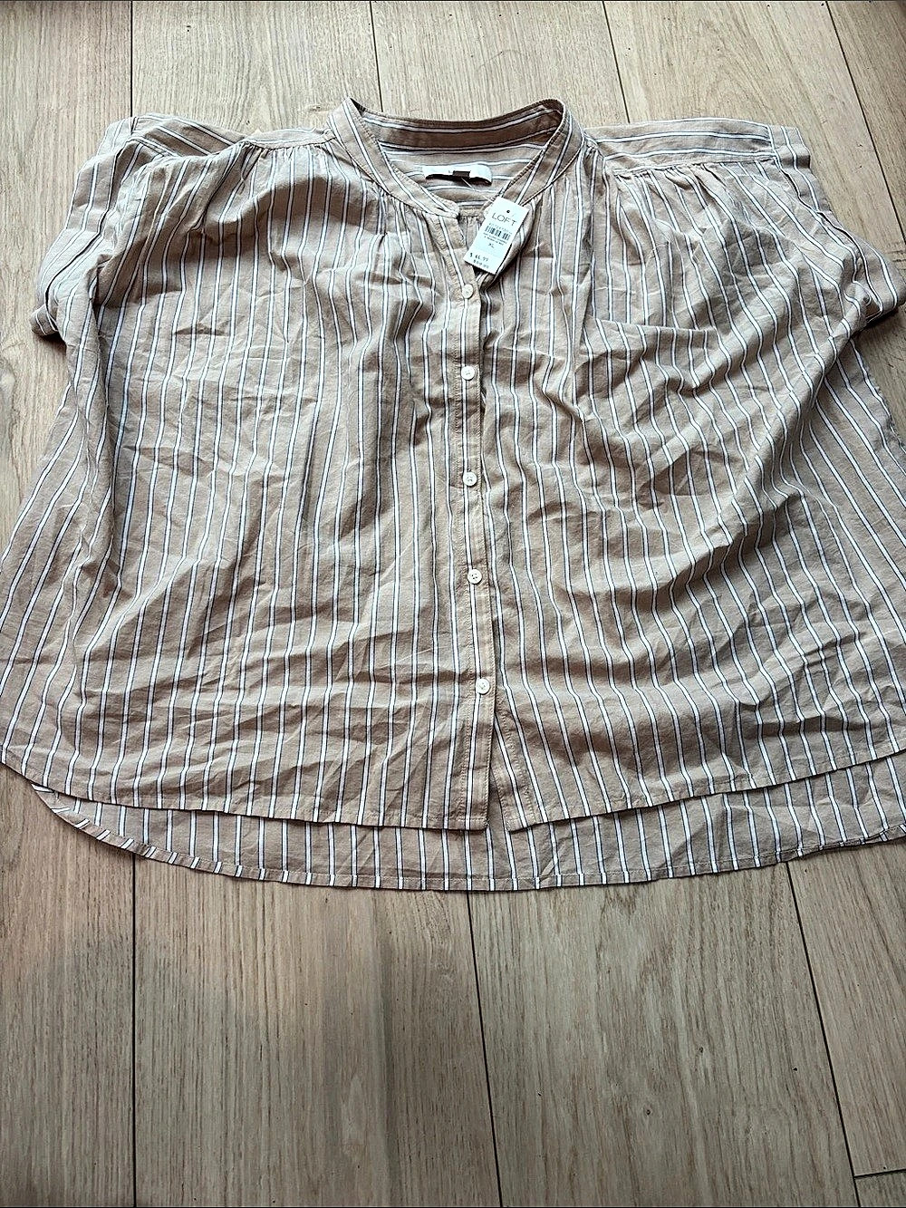 LOFT Striped Button Down Shirt in Brown & White XL NWT